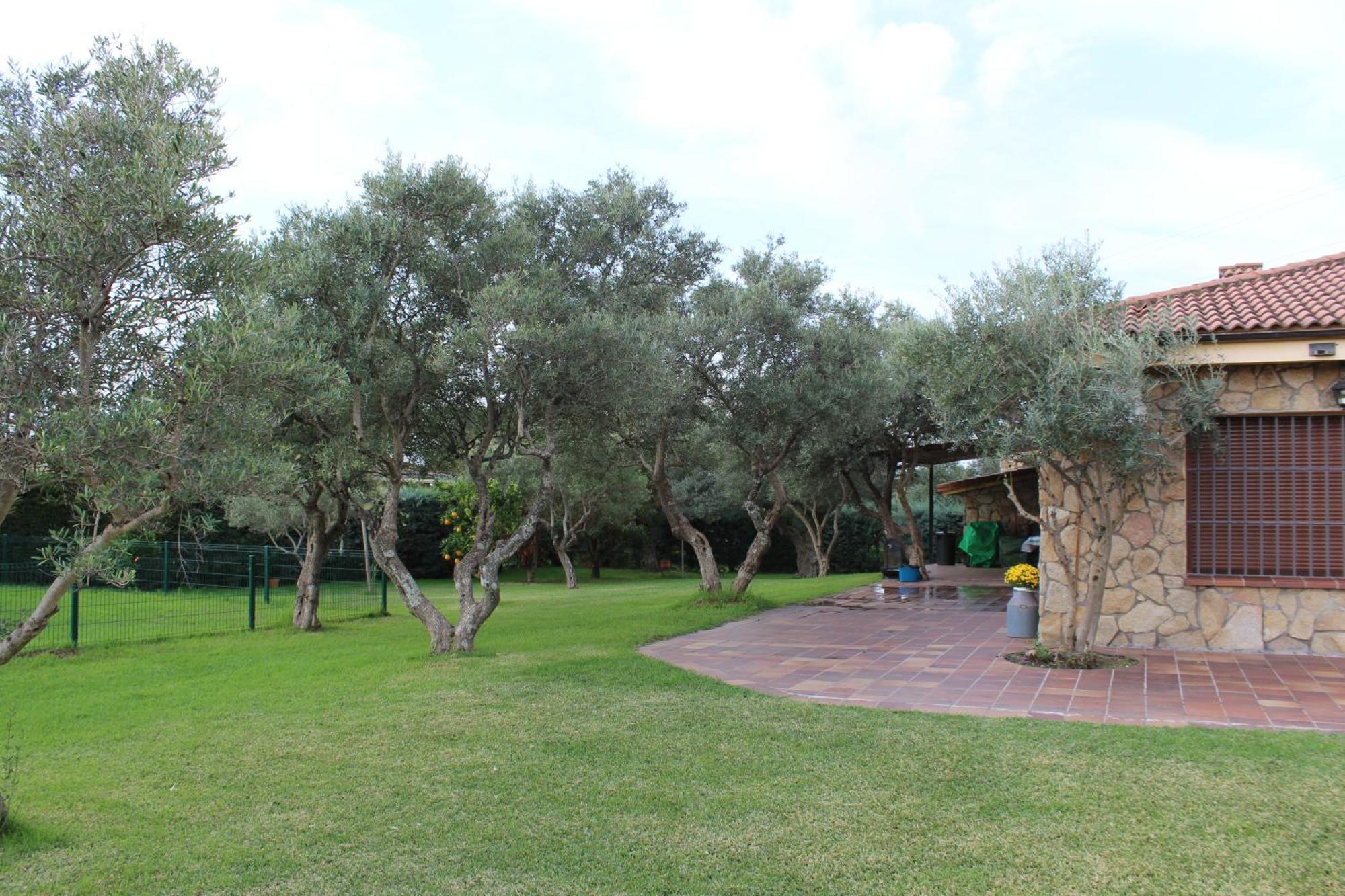 Apartamento La Huertarrona Candeleda Exterior foto