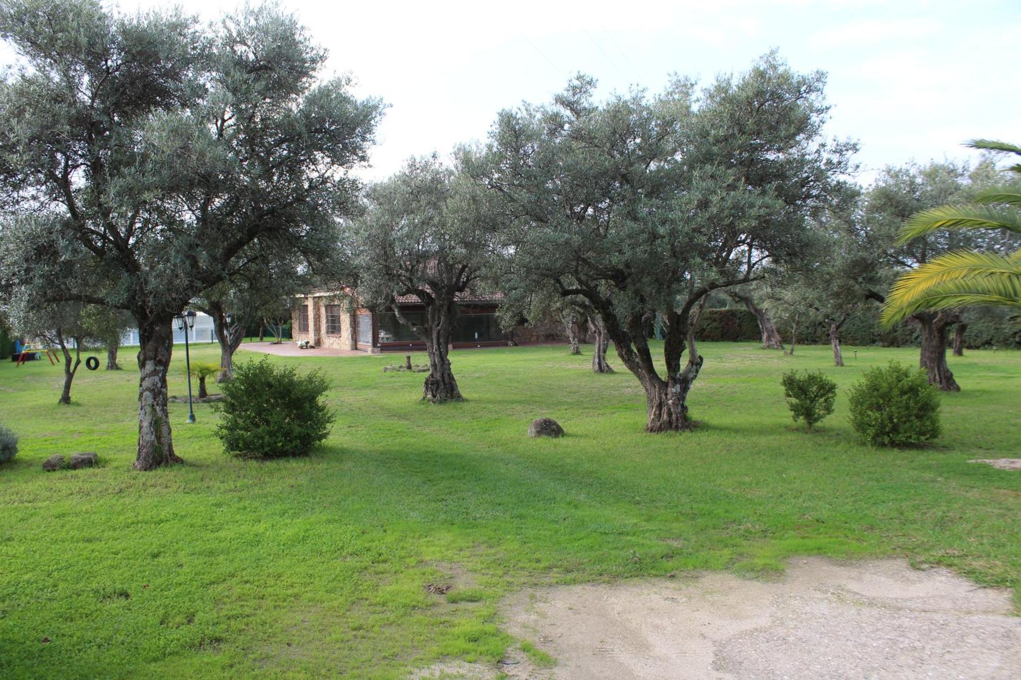 Apartamento La Huertarrona Candeleda Exterior foto