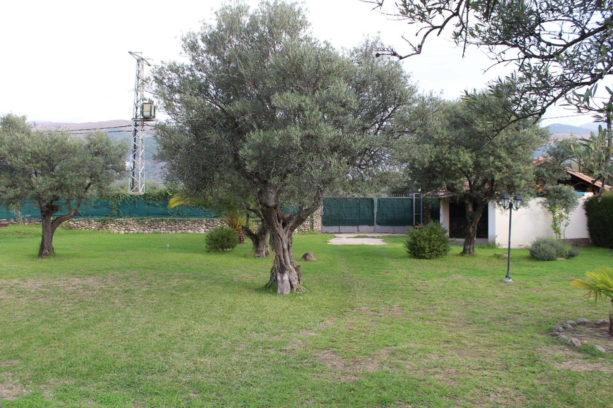 Apartamento La Huertarrona Candeleda Exterior foto