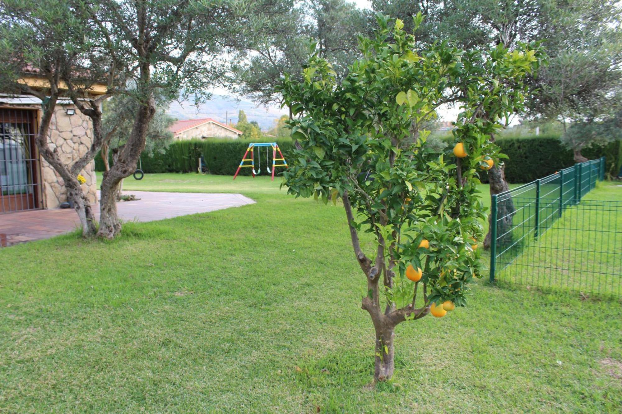 Apartamento La Huertarrona Candeleda Exterior foto